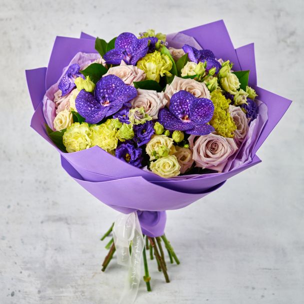 Нежность ветра