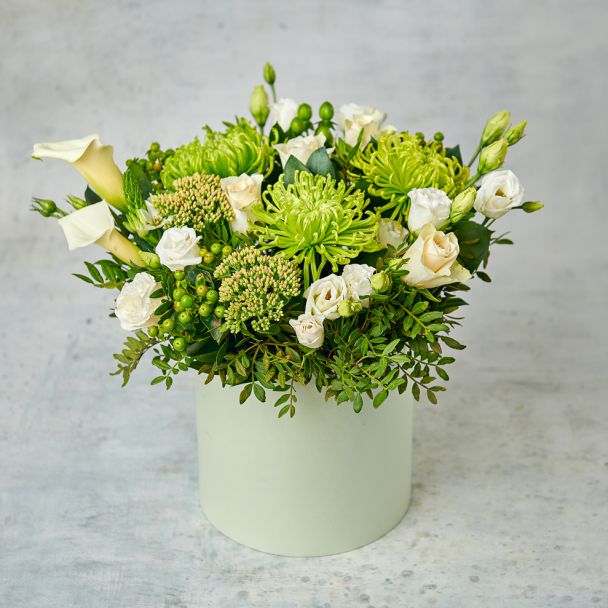 Альпийский луг