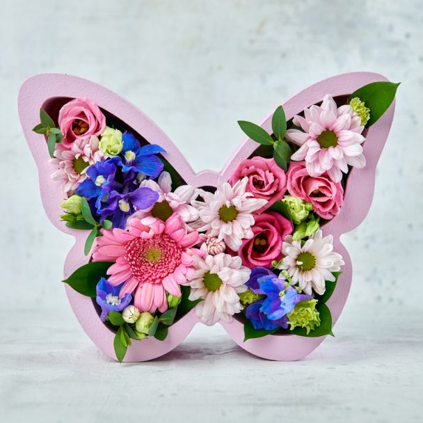 Цветобокс "Бабочка"