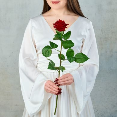 Роза "Россия"