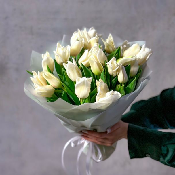 Букет из 25 белых тюльпанов