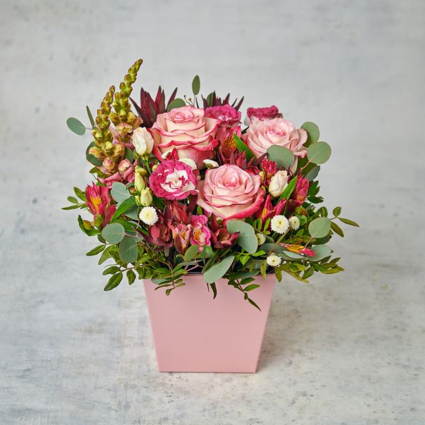 Пунцовые гроздья