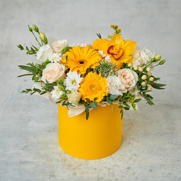 Пронзительная встреча