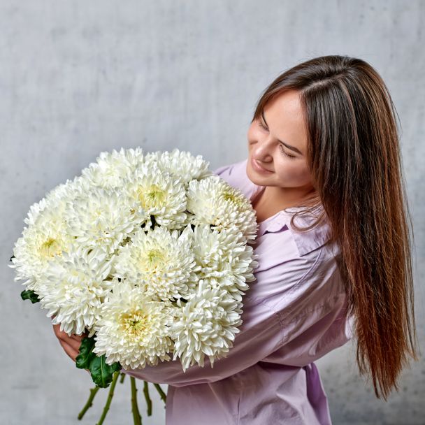 Хризантема "Антонов"