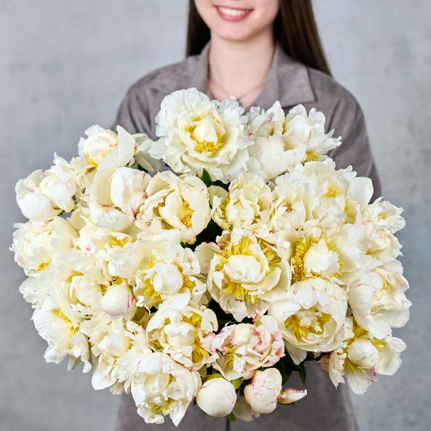 Пионы белые